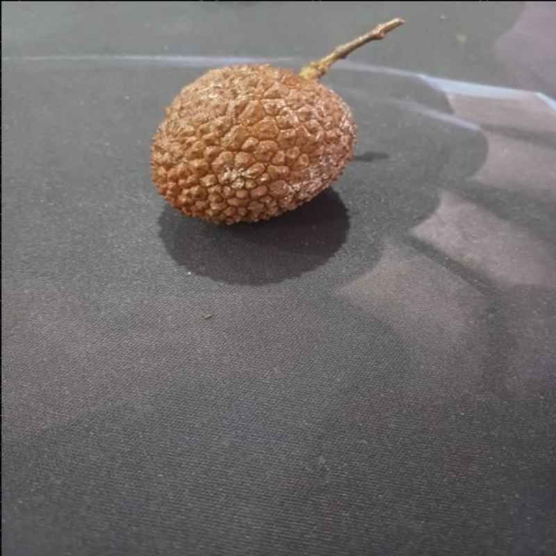 荔枝成熟度检测数据集-YOLO数据集