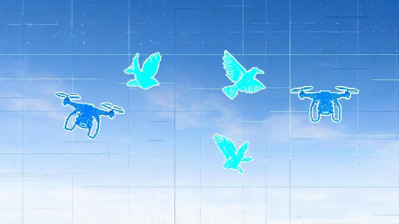 空中飞行物检测数据集(鸟无人机气球) | 目标检测 | 航空遥感-YOLO数据集