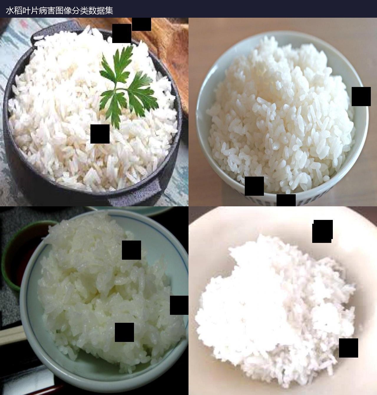 水稻叶片病害图像分类数据集 预览图