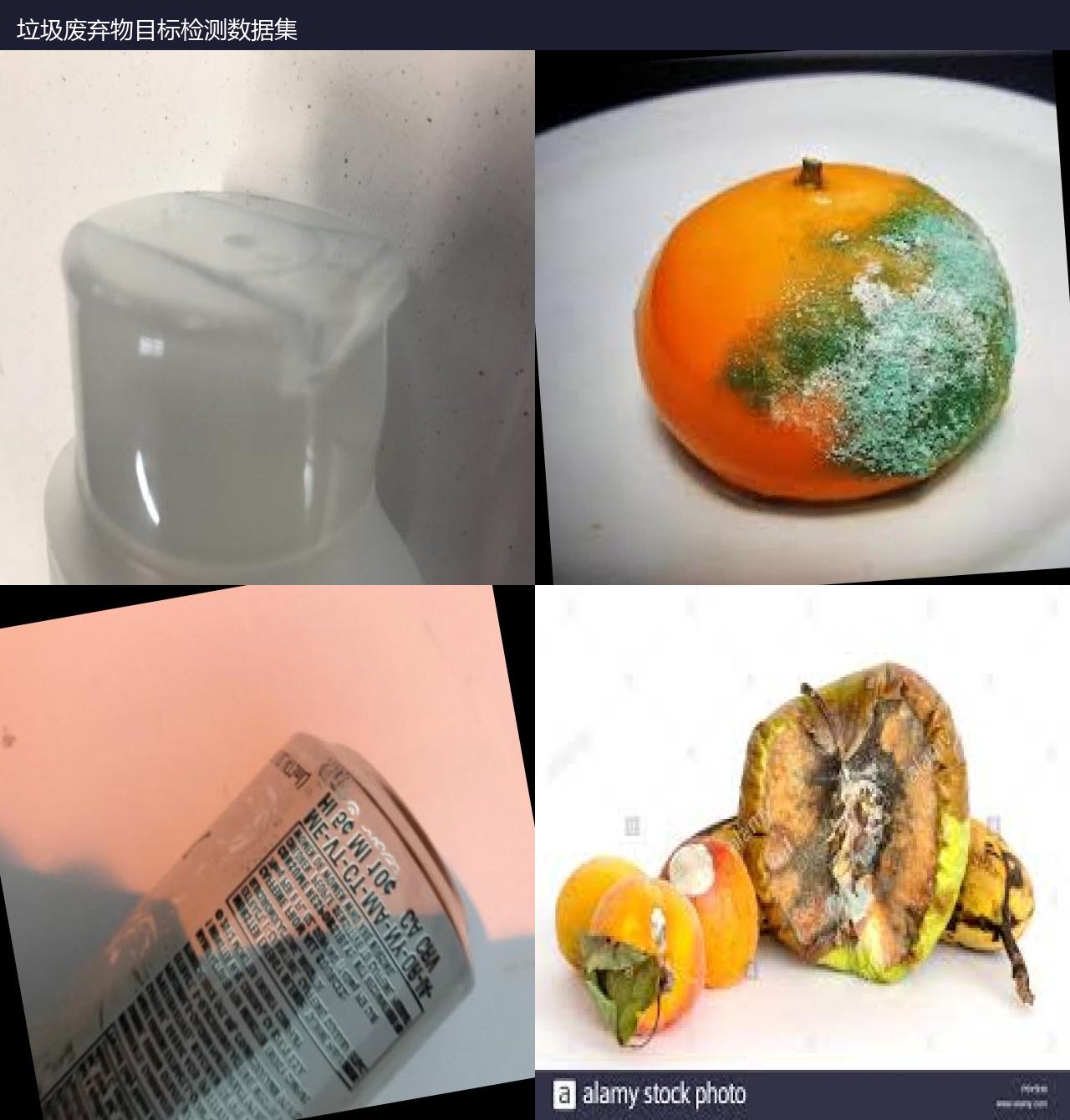 垃圾废弃物目标检测数据集 预览图