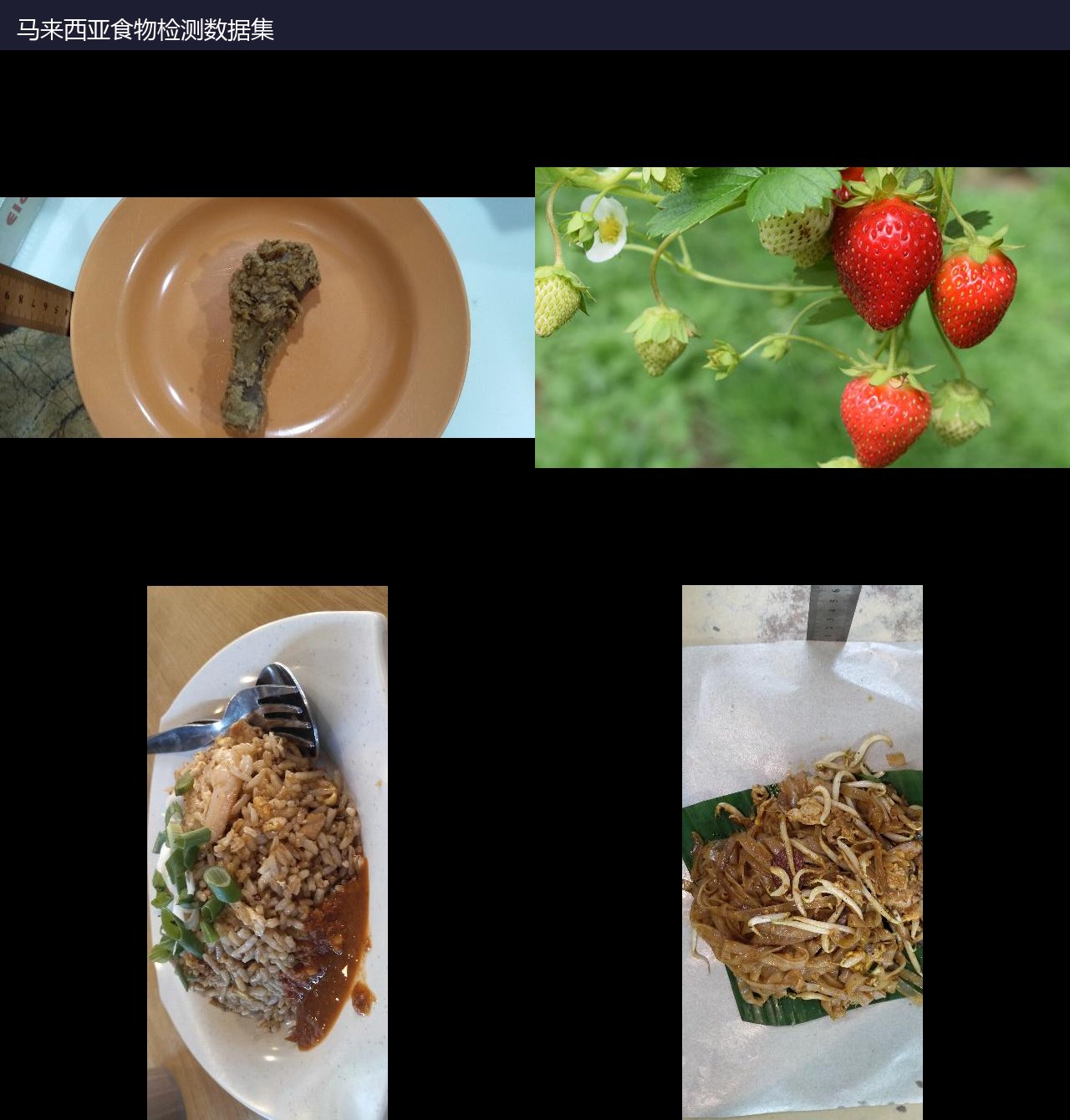马来西亚食物检测数据集 预览图