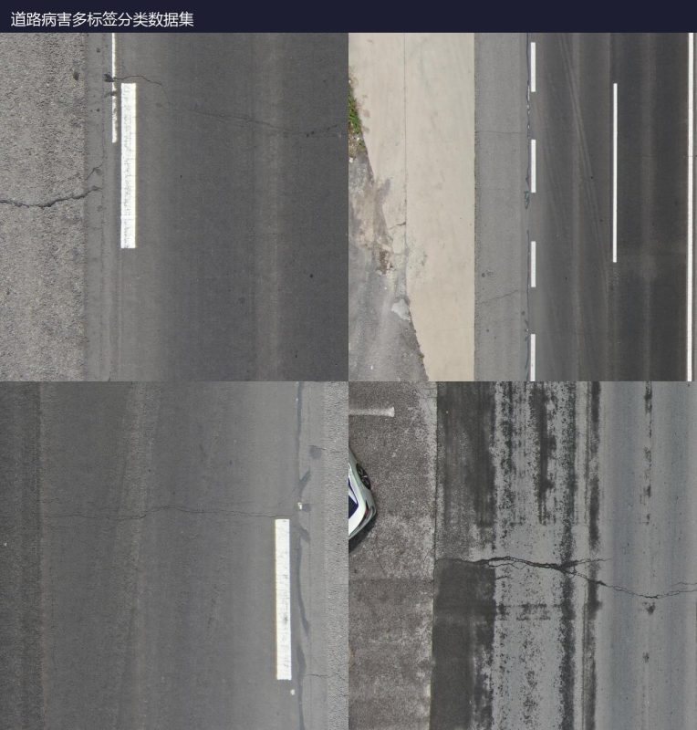 道路病害多标签分类数据集-YOLO数据集